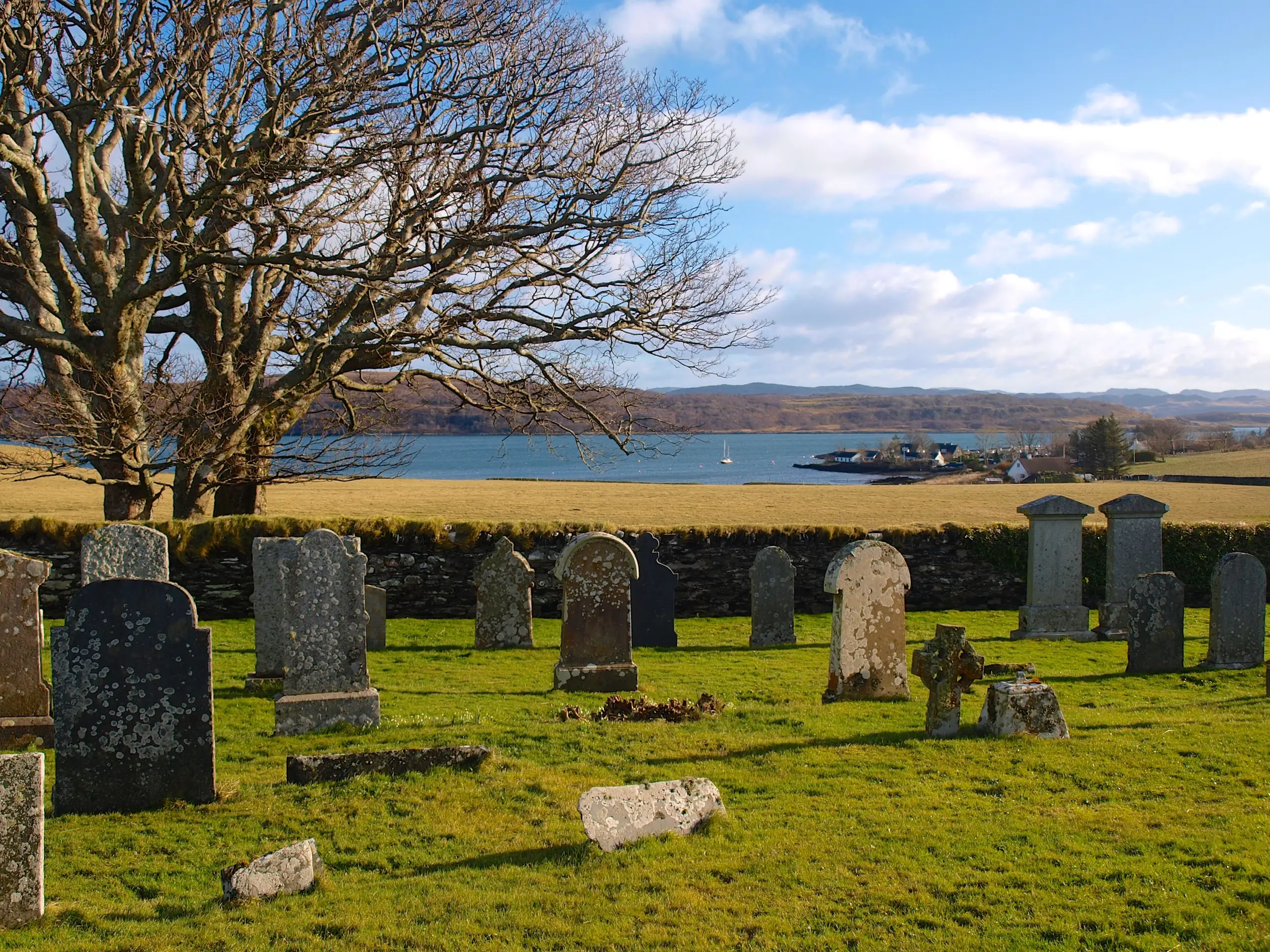 The graveyard