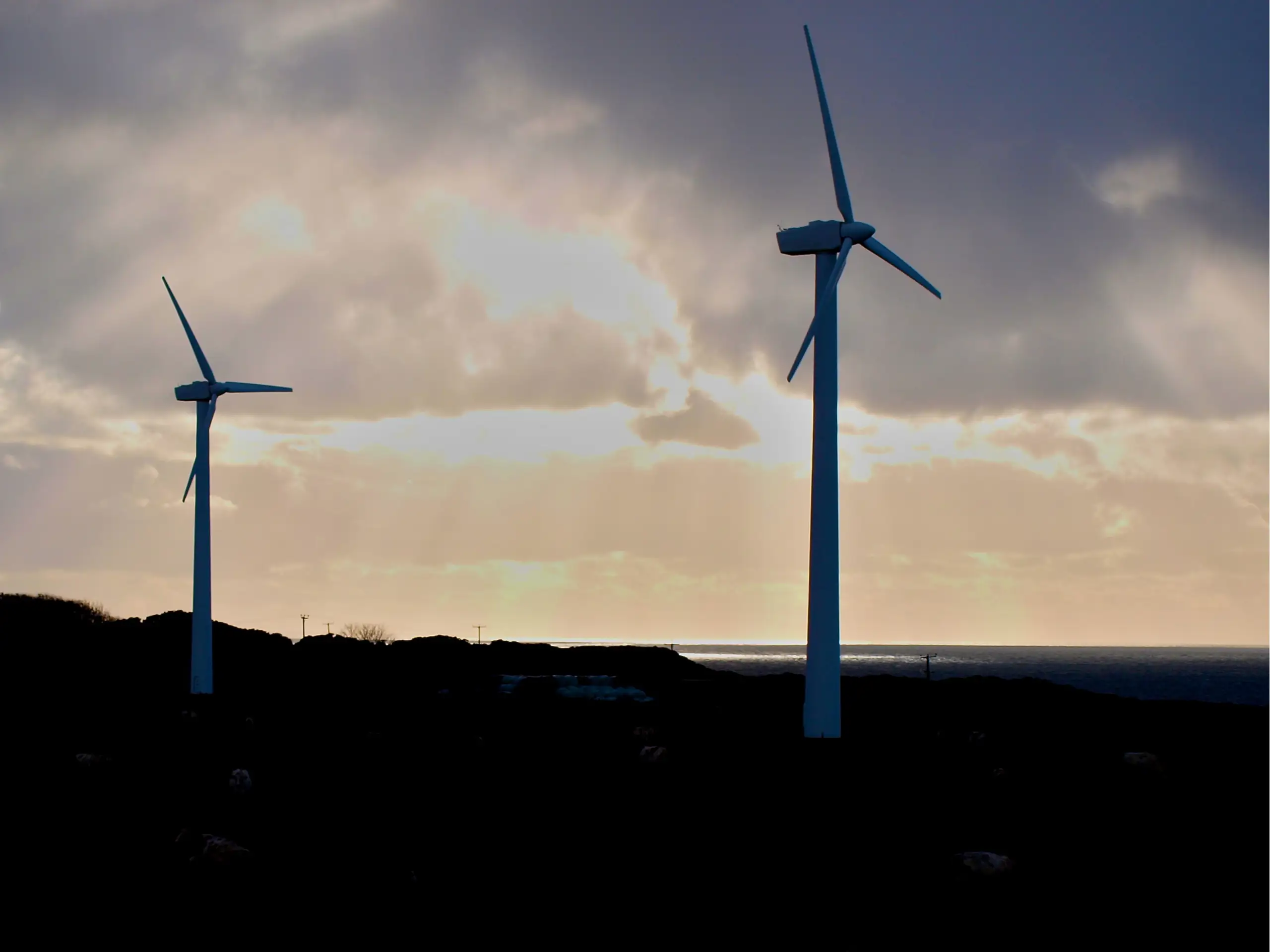 An early adopter of wind power