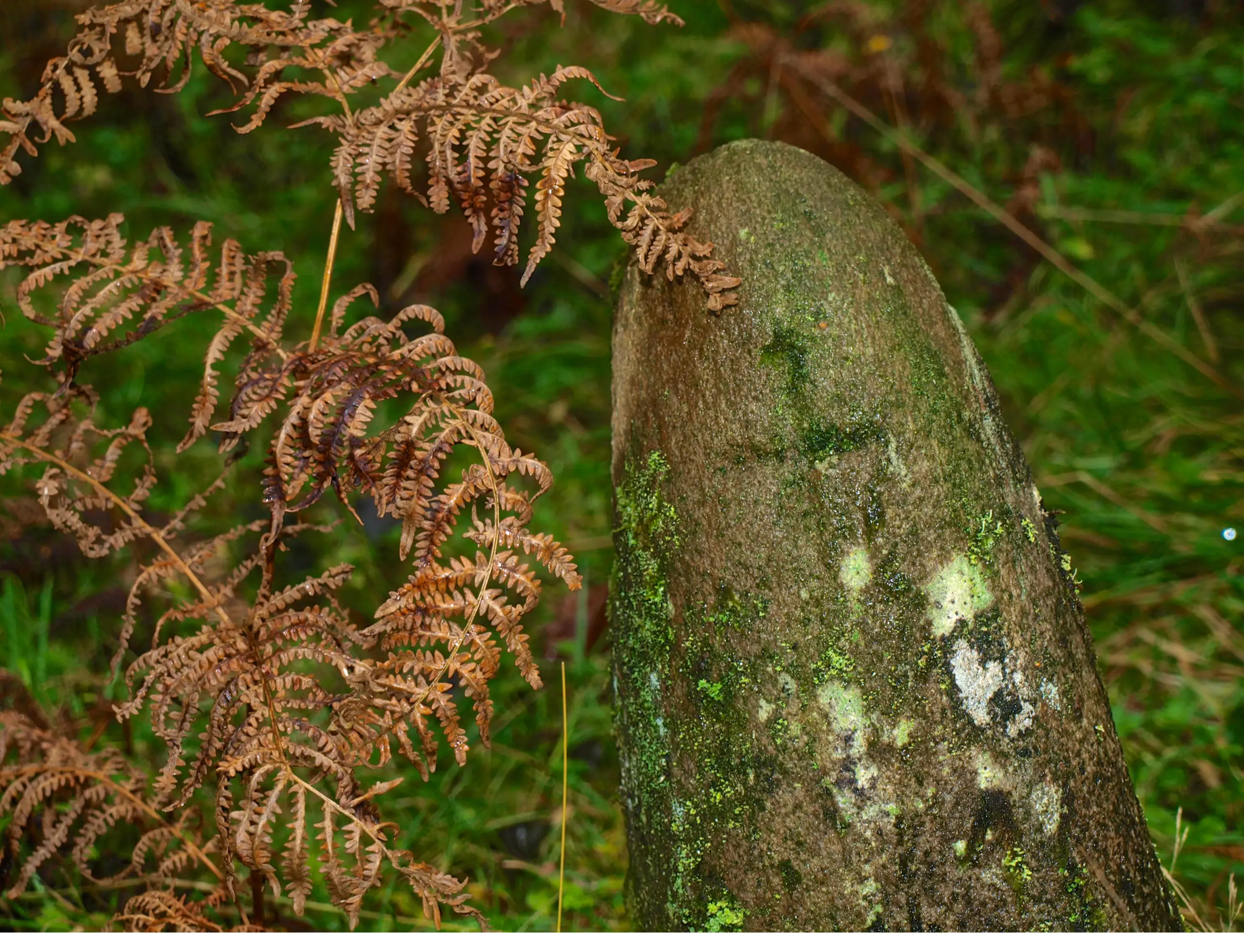 A mouldering gravestone