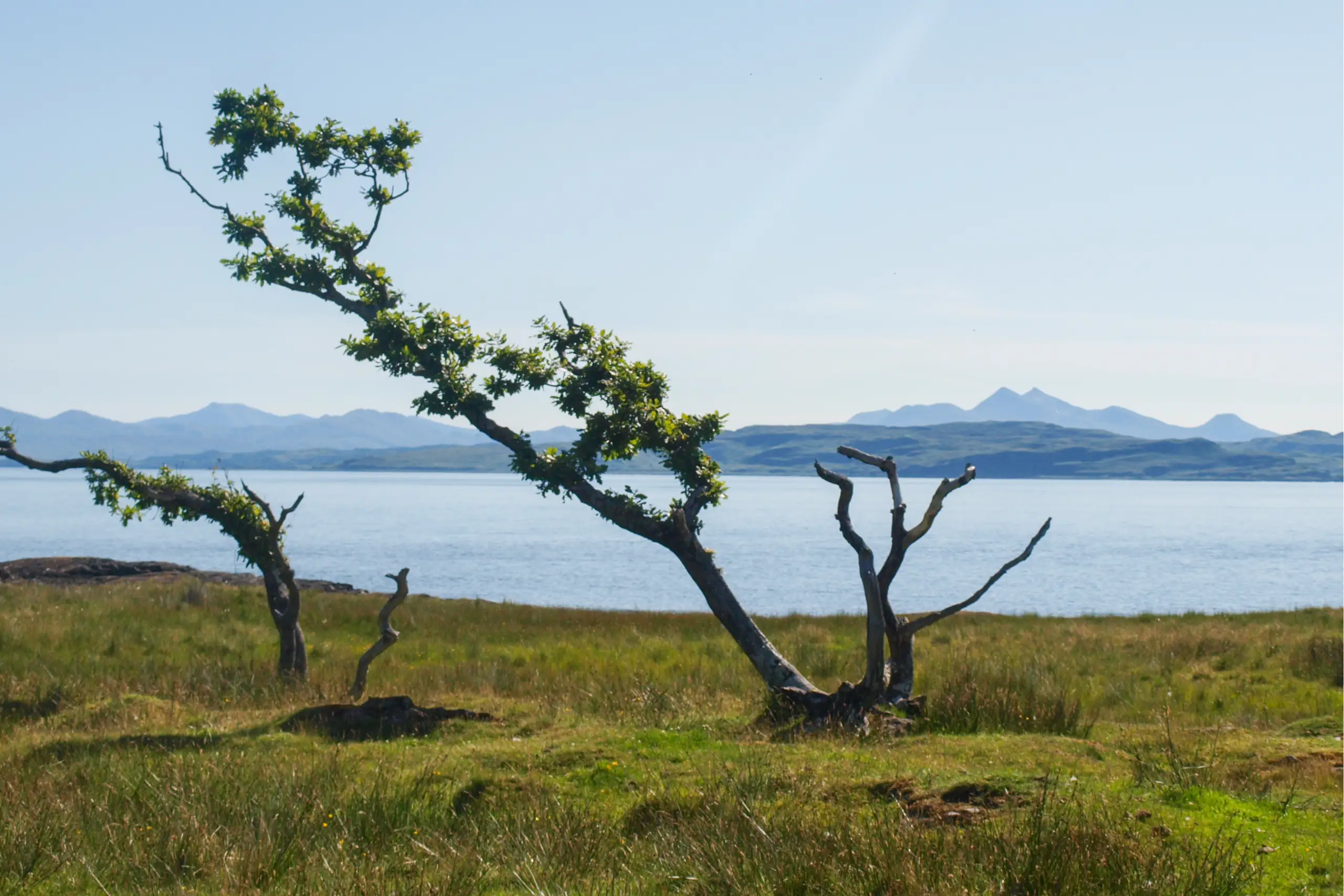 Looking across to Cruachan from Port nan Crullach