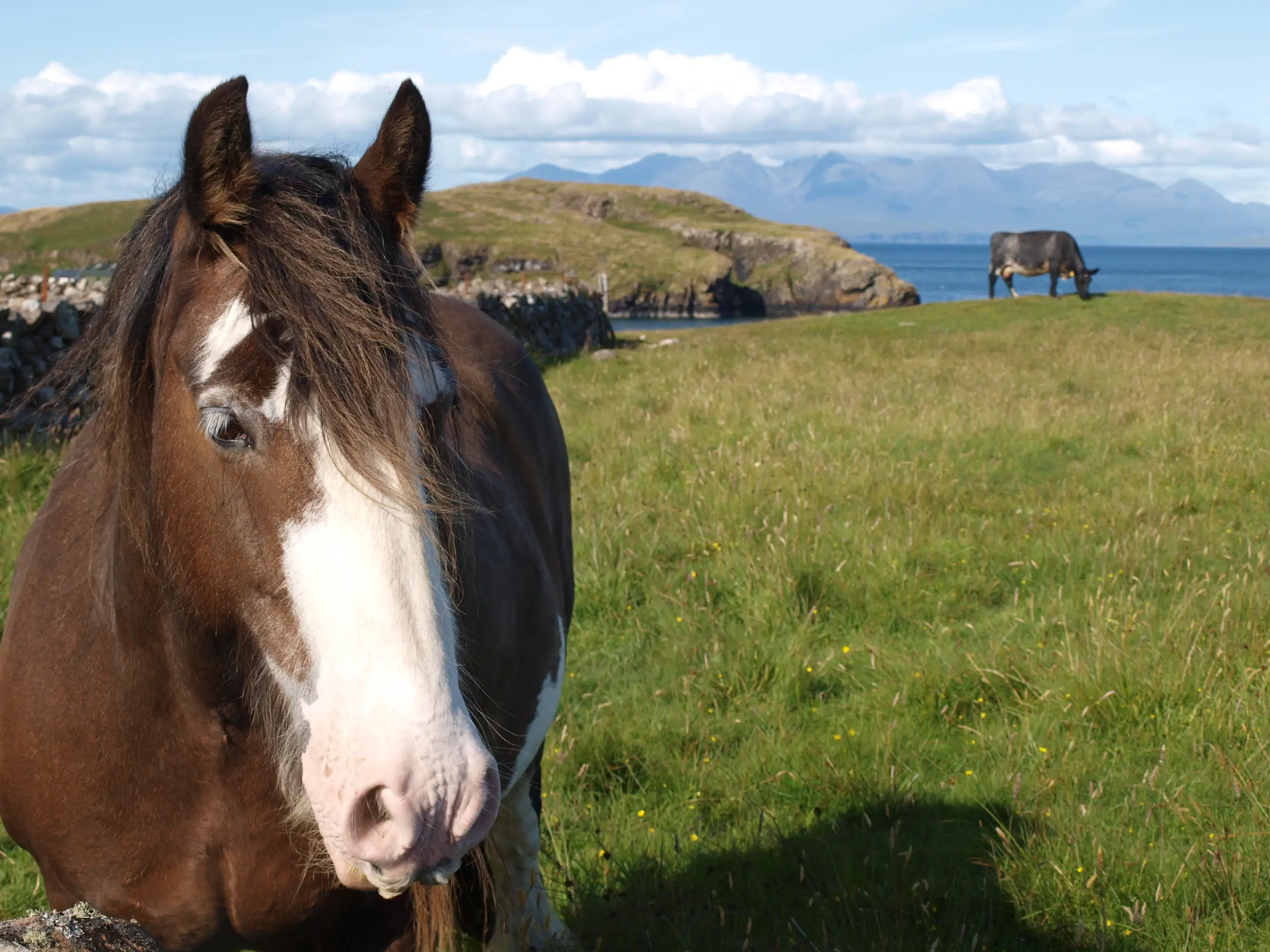 On Sanday looking across to the Cuillins on Skye