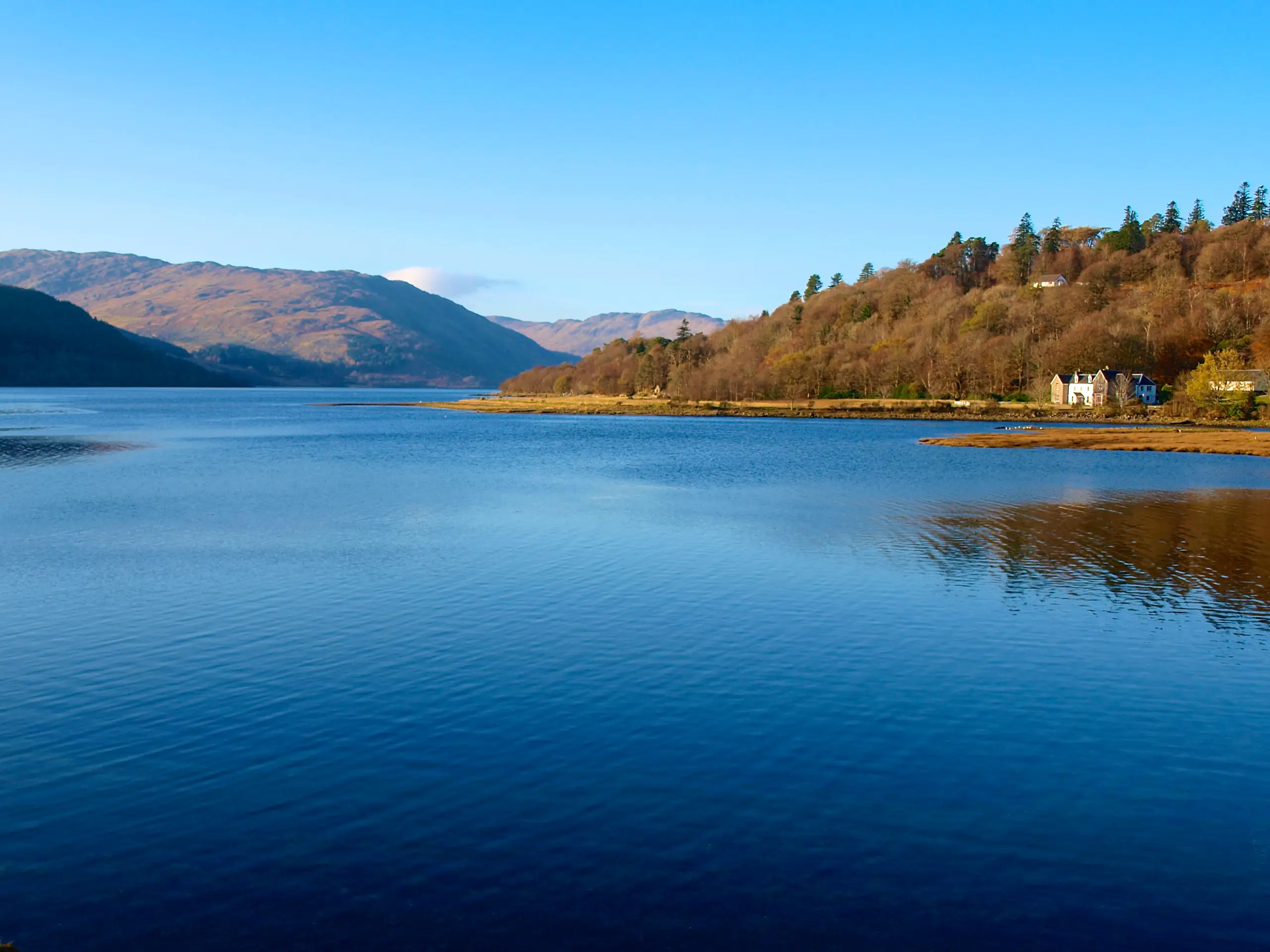Looking down the loch