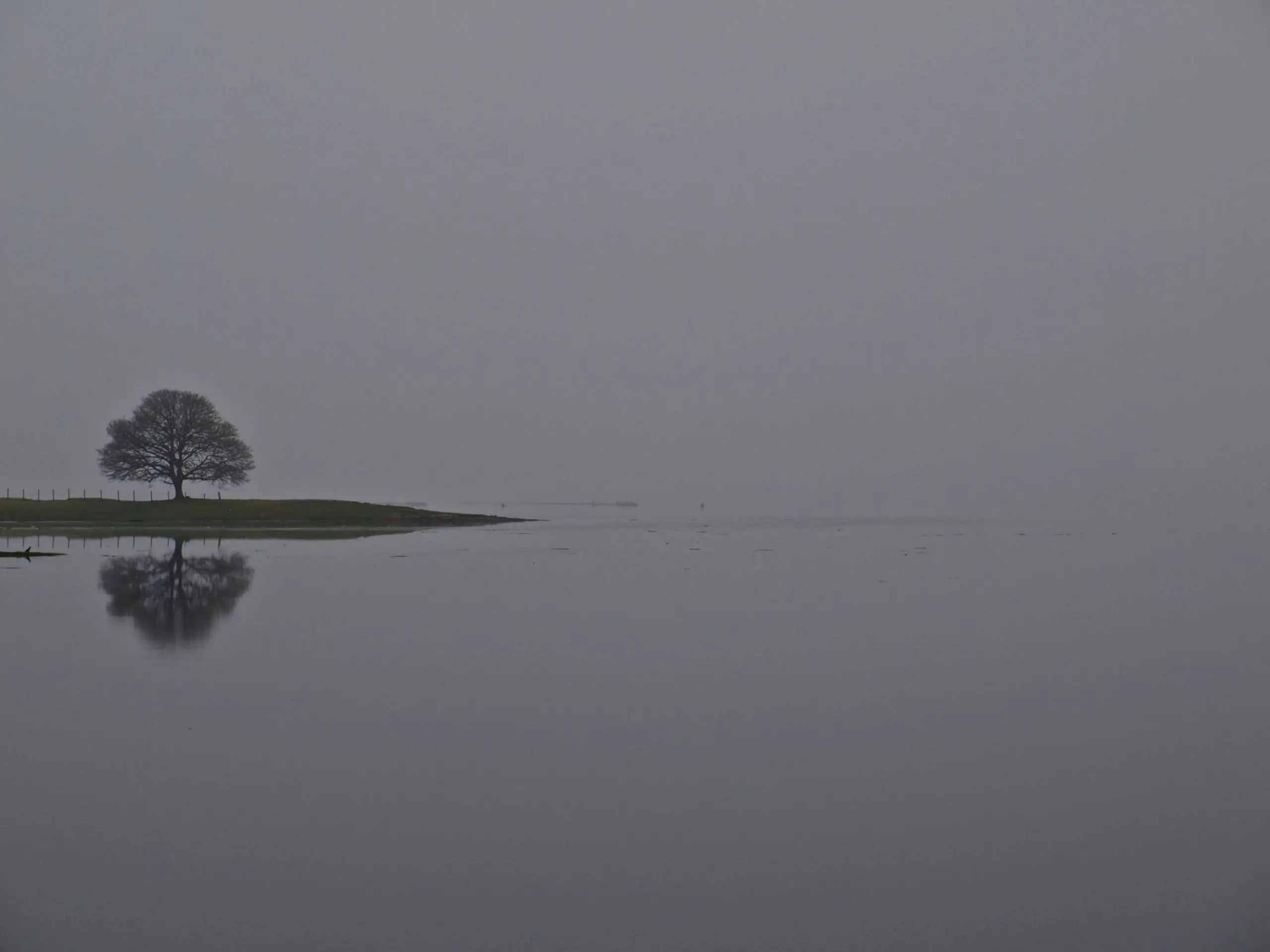 A rather different view in the morning mist