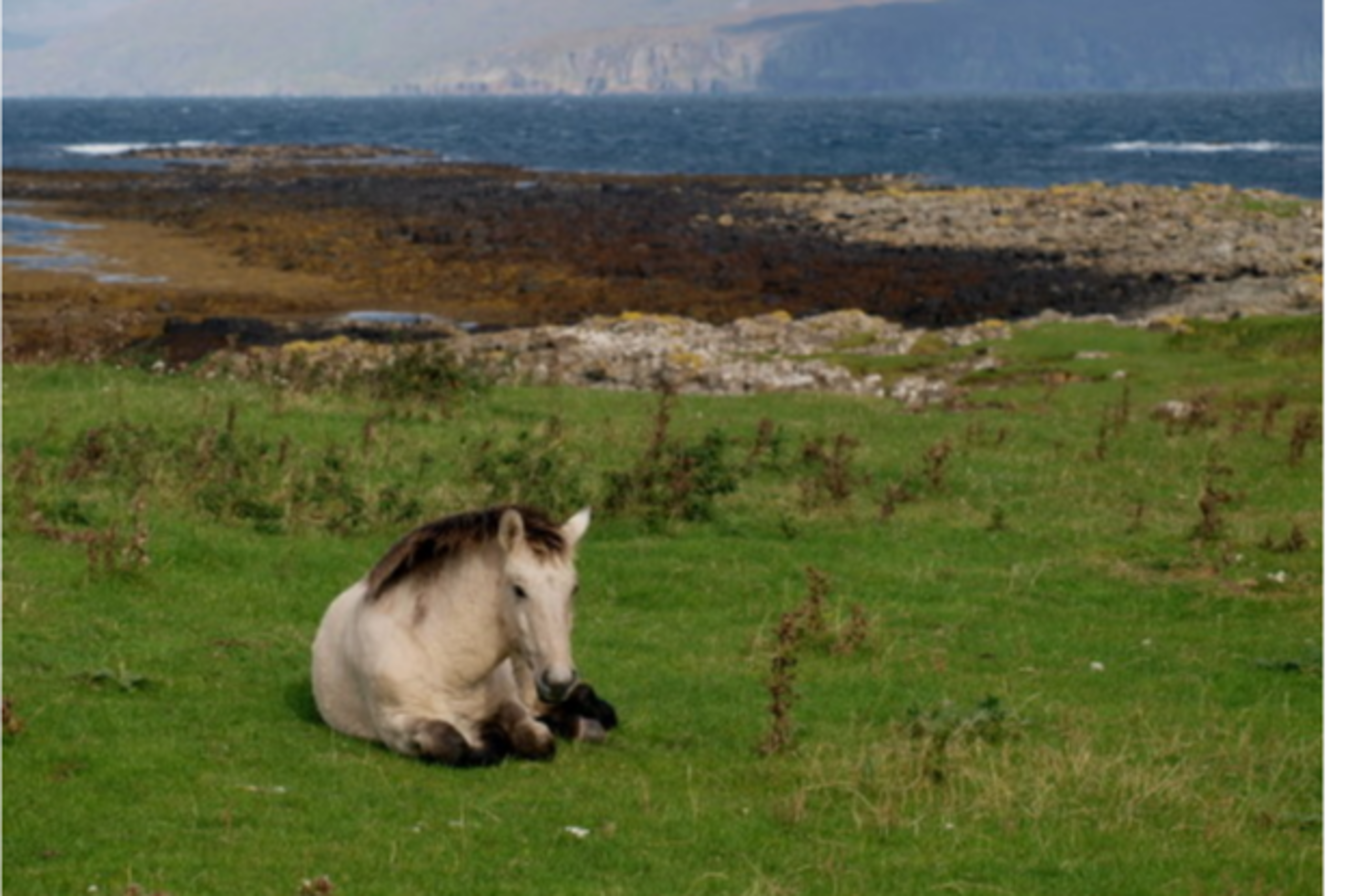 Looking north to Rum