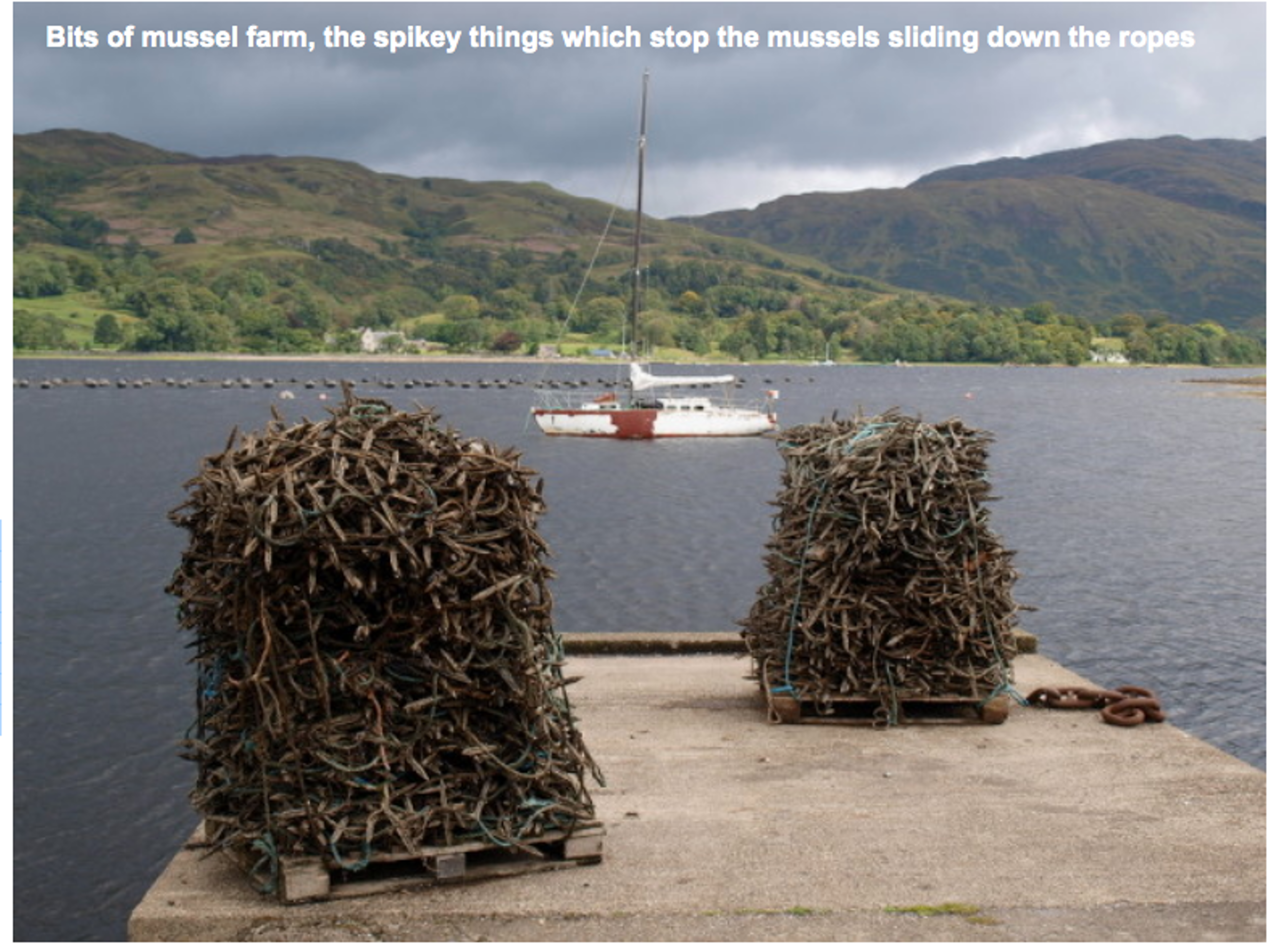 Mussel farm kit