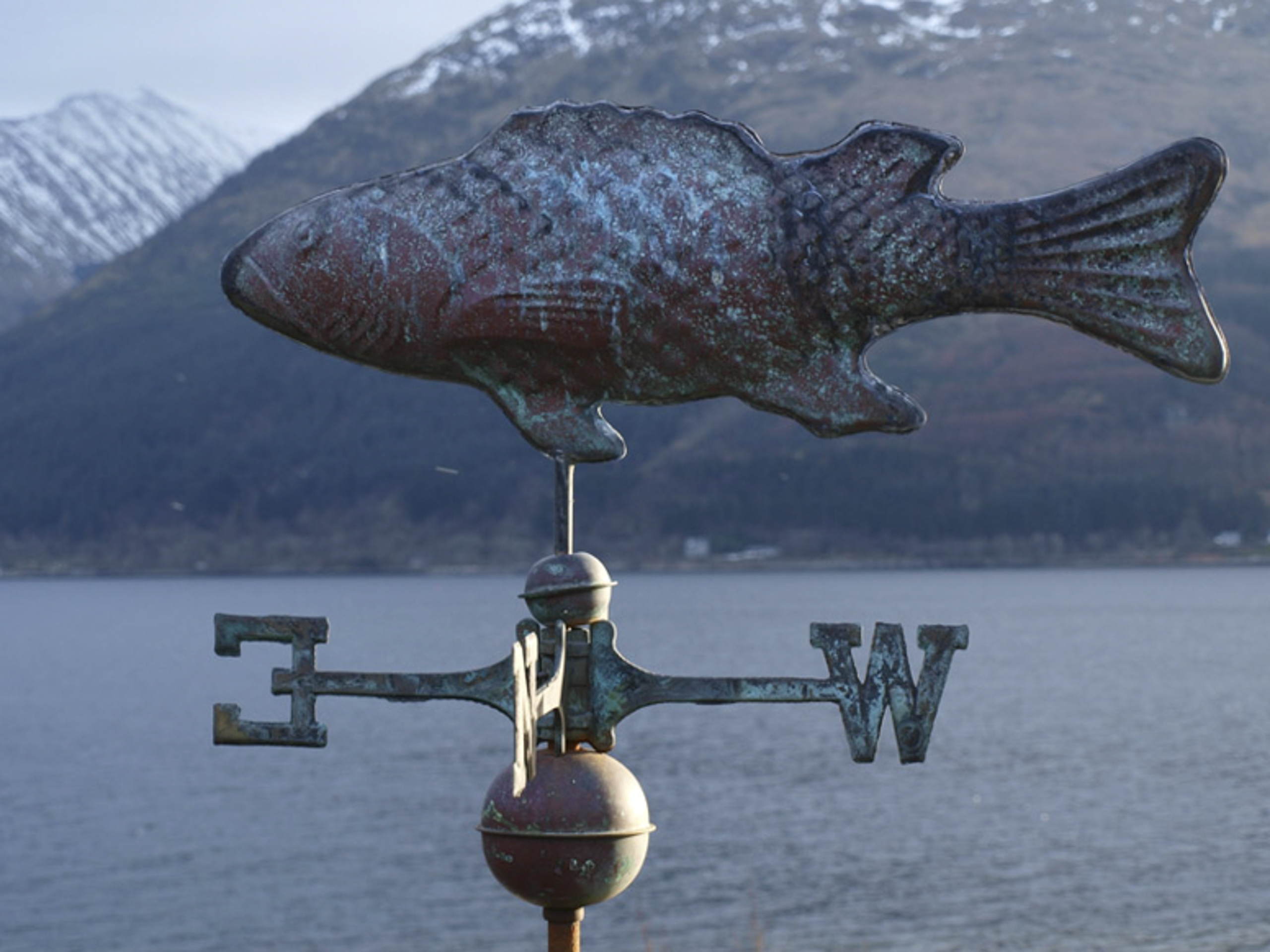 A mournful fish on the pier