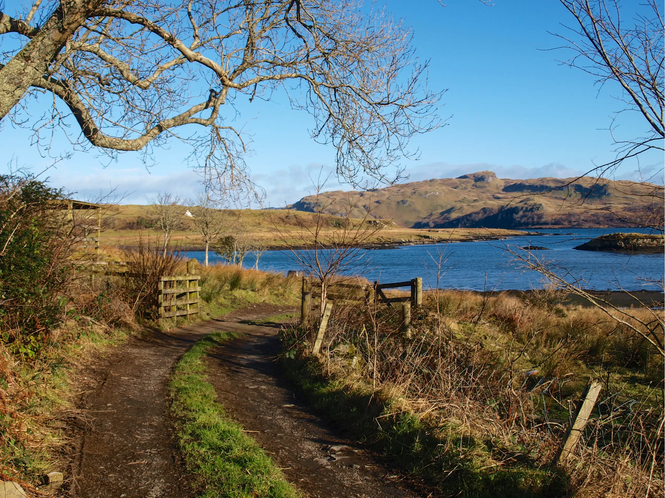 The road to the bay