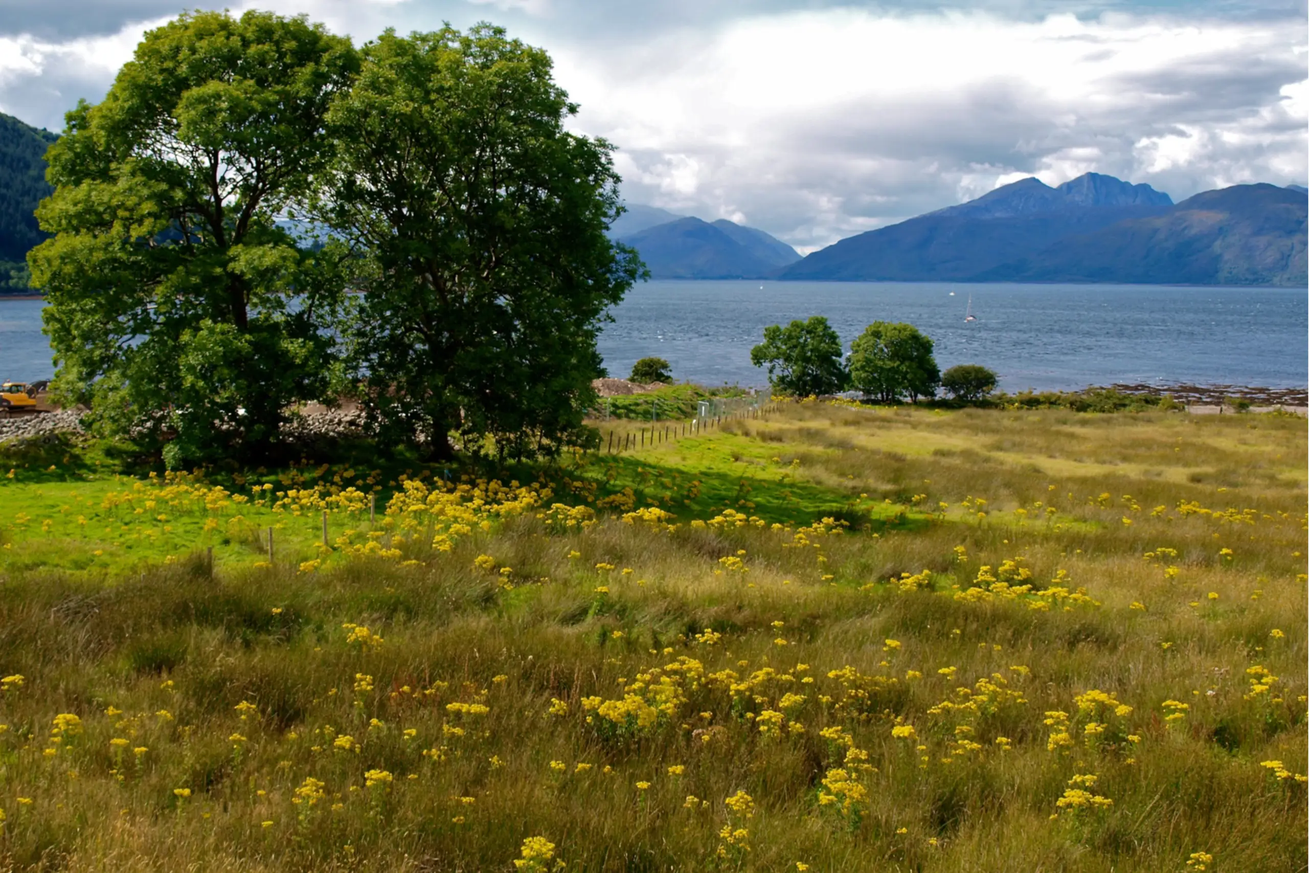Looking west from near the entrance to the loch