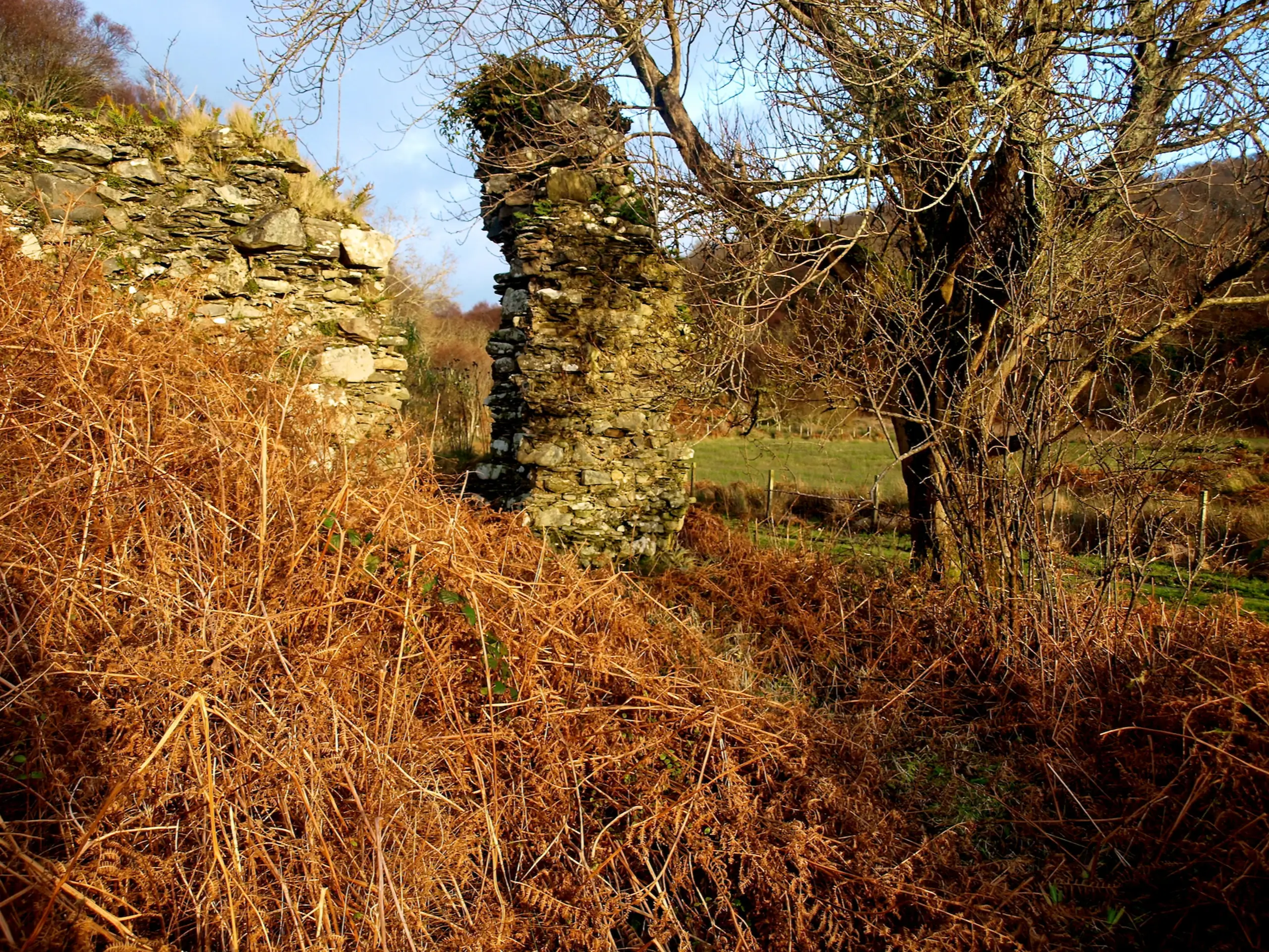 The chapel almost buried in the undergrowth