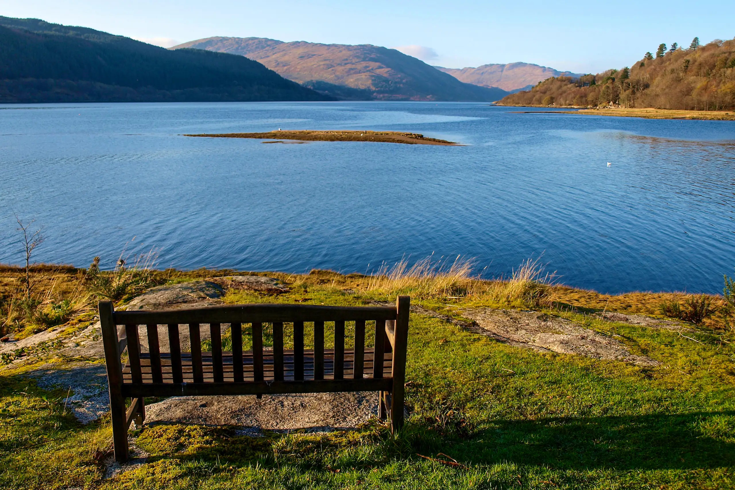 The bench with a view