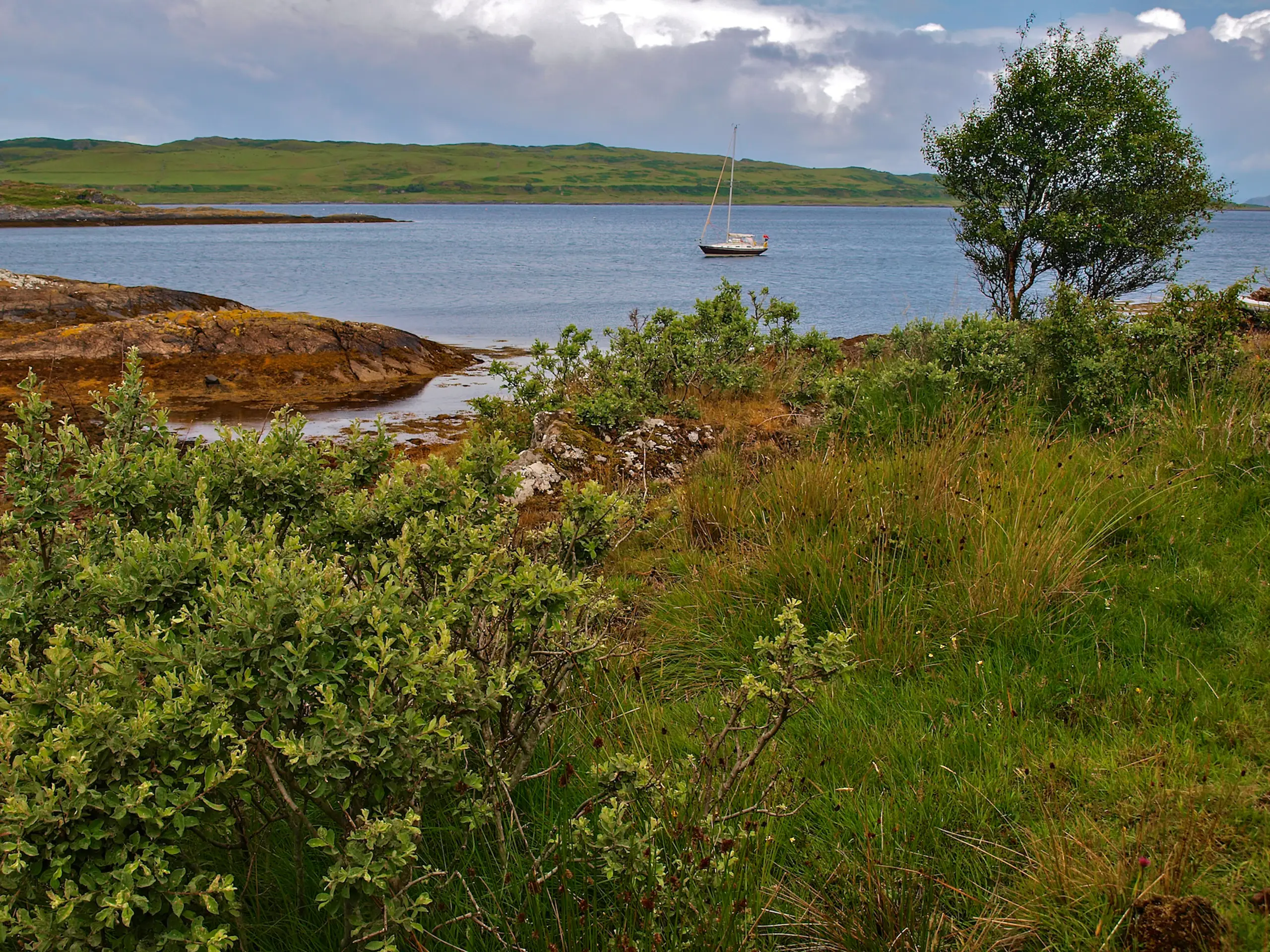 The anchorage
