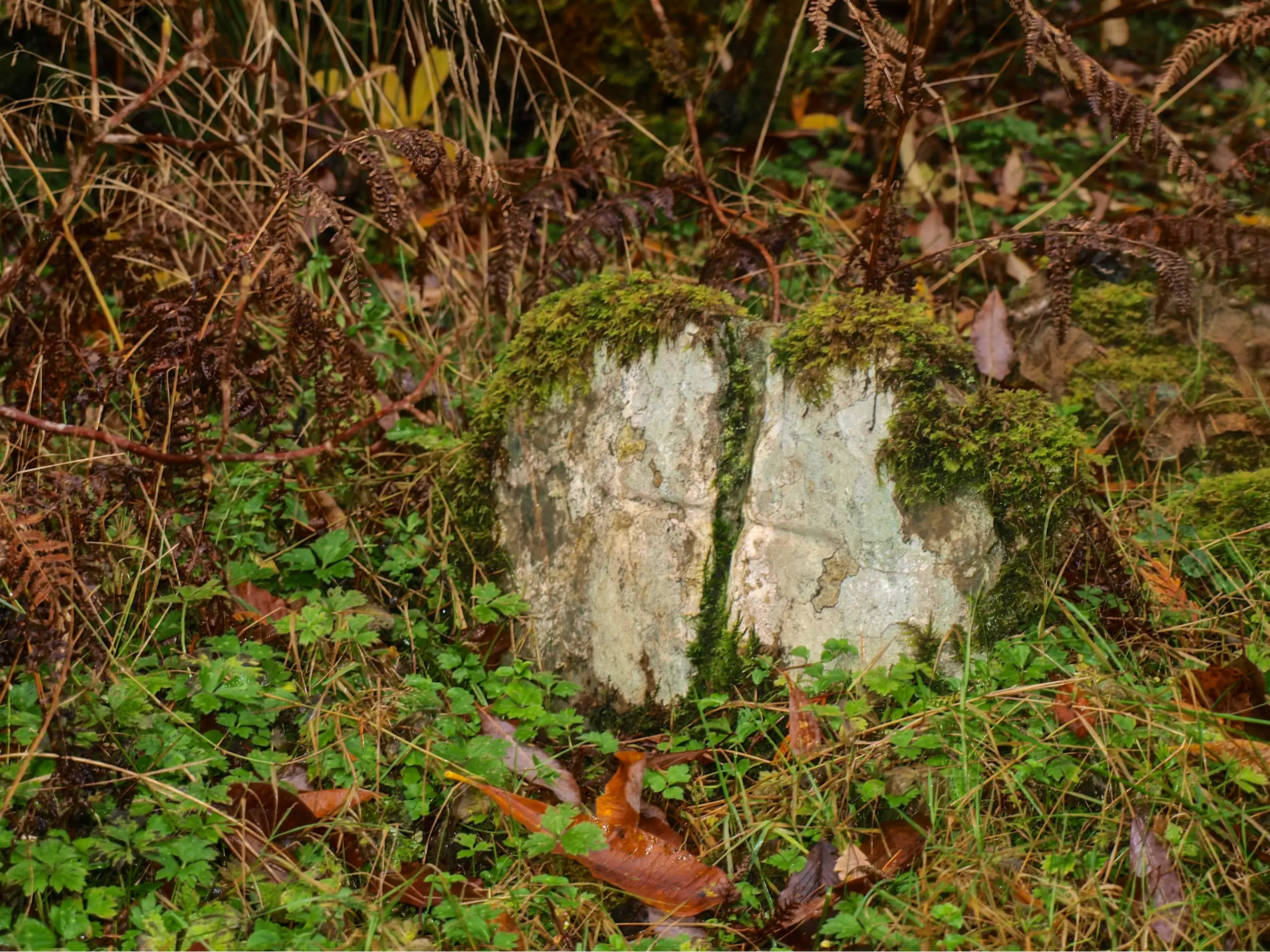Yet another gravestone