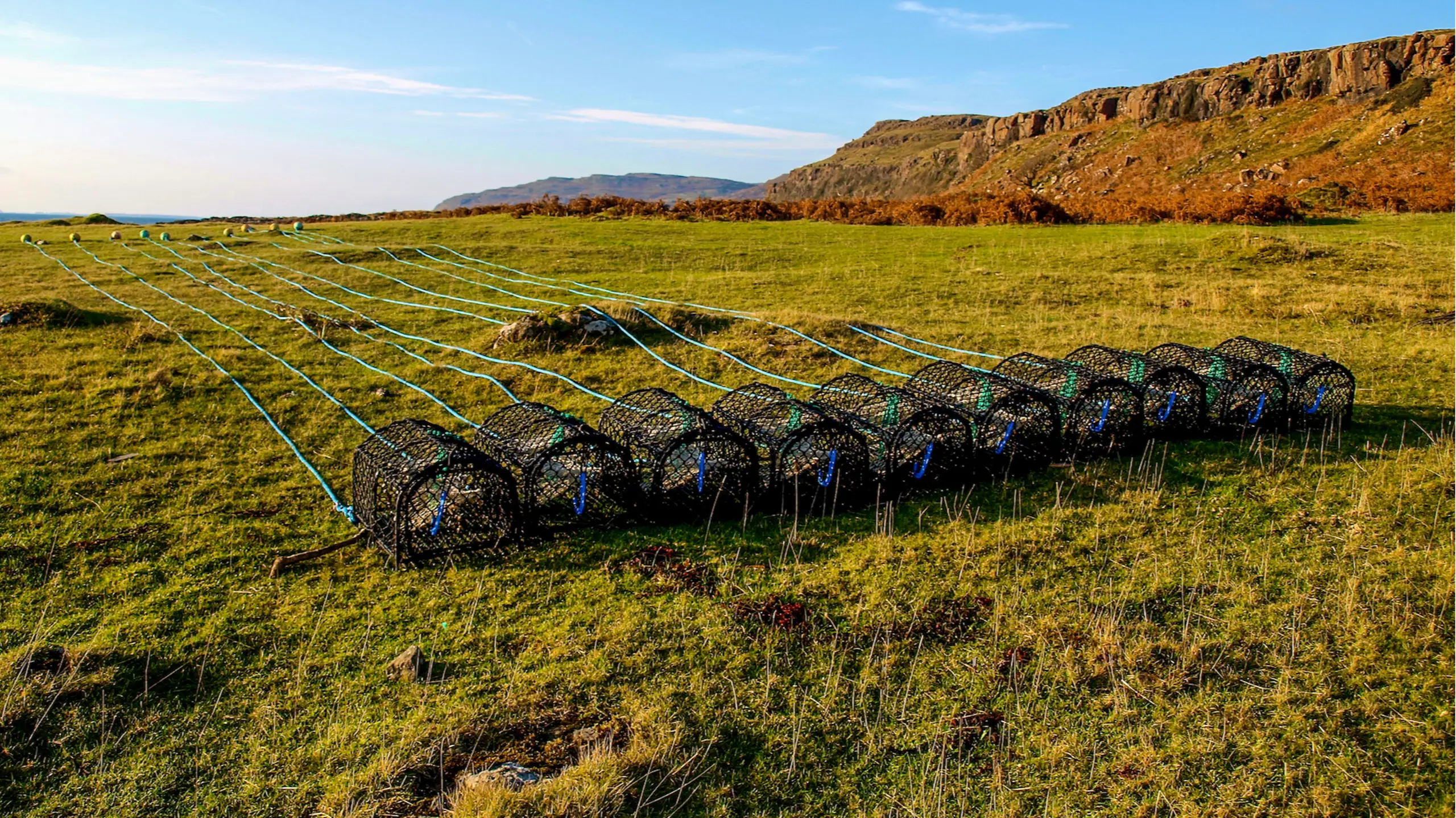 Creels laid out to dry