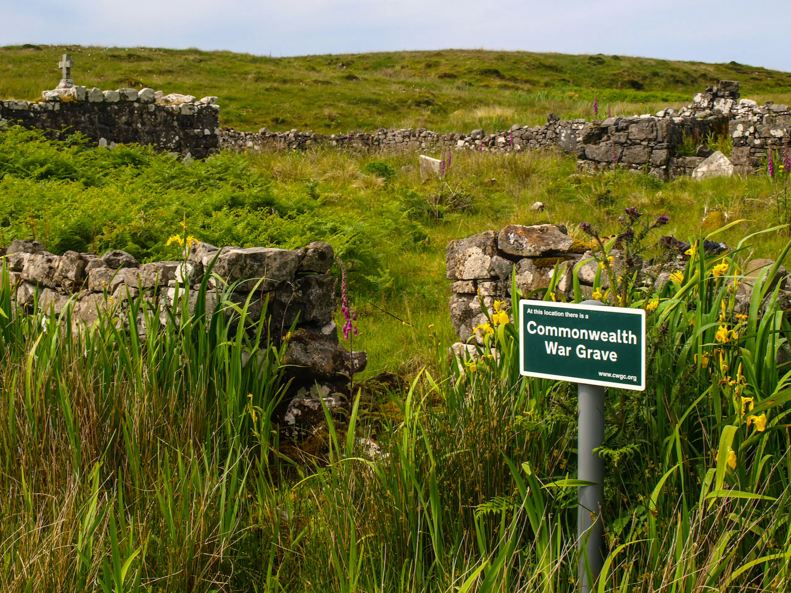 The overgrown graveyard, with some war graves